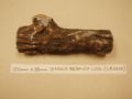 150mm x 38mm Single Branch Log CR0200