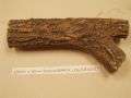 250mm x 50mm Single Branch Log CR0202
