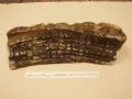 305mm x 75mm Charred Split Log CR0313