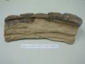 305mm x 75mm Split Log CR0310