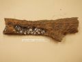 430mm x 90mm Hollow Log CR0316