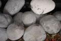 Ceramic Pebbles Superwash Grey Only SG Twin - Fire